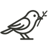 tidybird logo