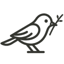tidybird